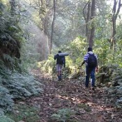 Trekking In Nishani Motte 1N/2D ( 1N Nishani Motte )